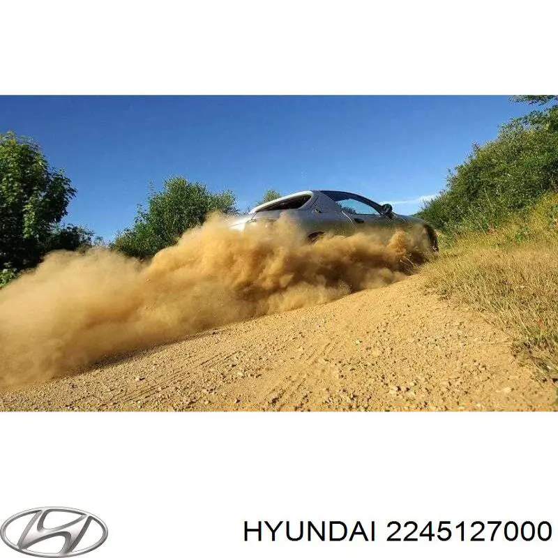 Compre 2245127000 Hyundai/Kia Anel (arruela) do injetor de ajuste