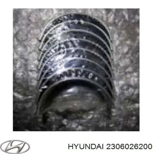 Folhas inseridas de cambota de biela, kit, padrão (STD) Hyundai/Kia 2306026200 preço, a partir de  USD