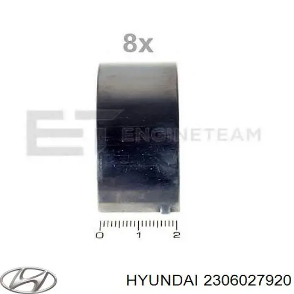 2306027920 Hyundai/Kia Folhas inseridas de cambota de biela, kit, padrão (STD)
