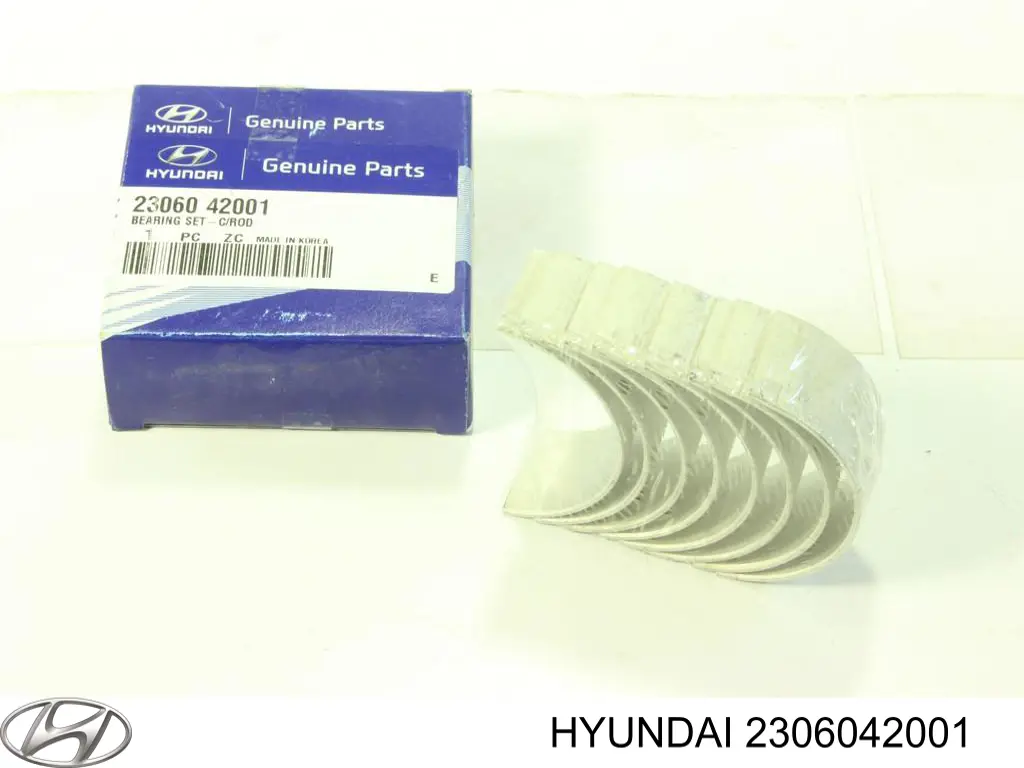 2306042001 Hyundai/Kia Folhas inseridas principais de cambota, kit, padrão (STD)