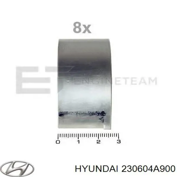 Folhas inseridas de cambota de biela, kit, padrão (STD) Hyundai/Kia 230604A900 preço, a partir de 17,92 USD
