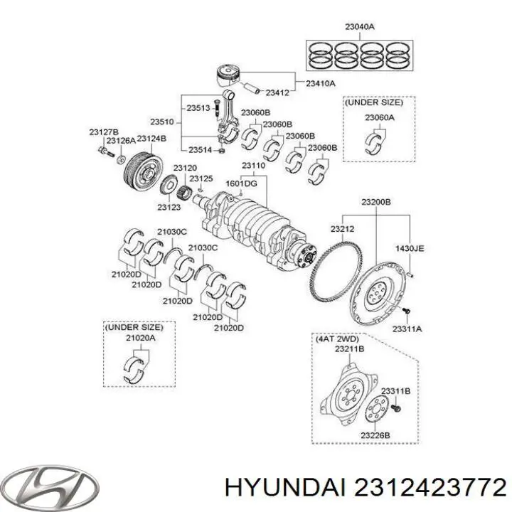 2312423772 Hyundai/Kia Polia de cambota