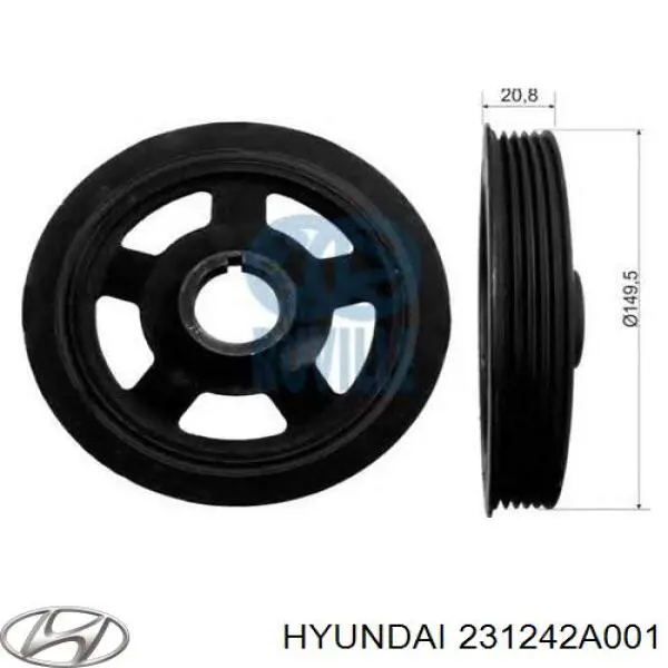 231242A001 Hyundai/Kia Polia de cambota