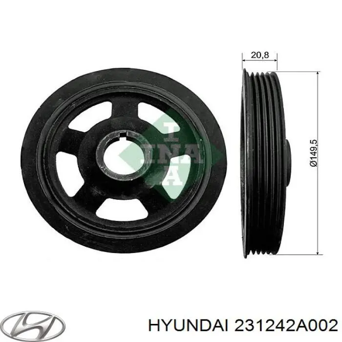 231242A002 Hyundai/Kia Polia de cambota
