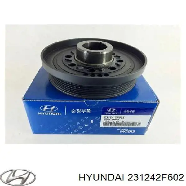231242F602 Hyundai/Kia Polia de cambota