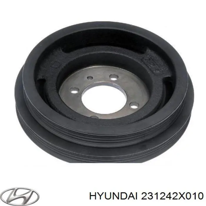231242X010 Hyundai/Kia Polia de cambota