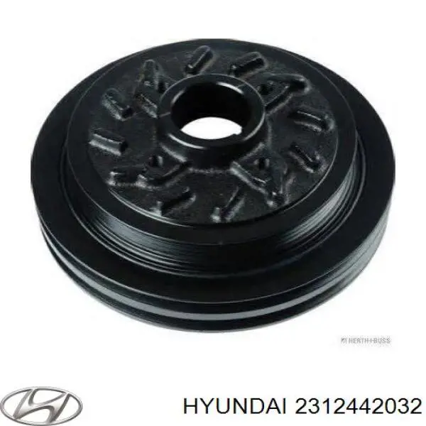 2312442032 Hyundai/Kia Polia de cambota