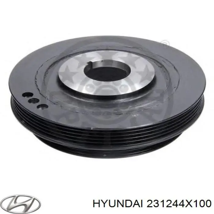 231244X100 Hyundai/Kia Polia de cambota