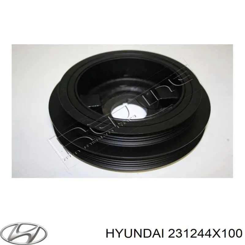 Compre 231244X100 Hyundai/Kia Polia de cambota