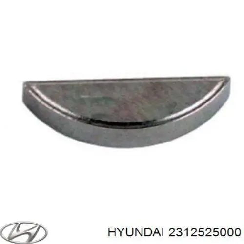 2312525000 Hyundai/Kia Chaveta de cambota