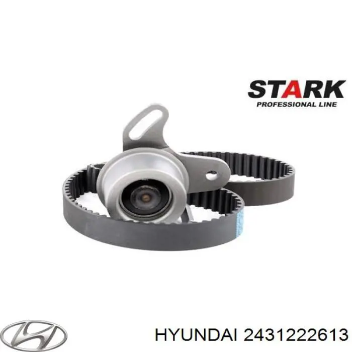 2431222613 Hyundai/Kia Correia do mecanismo de distribuição de gás