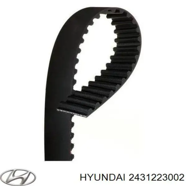 Correia do mecanismo de distribuição de gás Hyundai/Kia 2431223002 preço, a partir de 22,86 USD