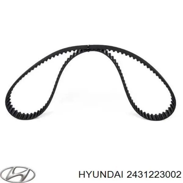 Compre 2431223002 Hyundai/Kia Correia do mecanismo de distribuição de gás