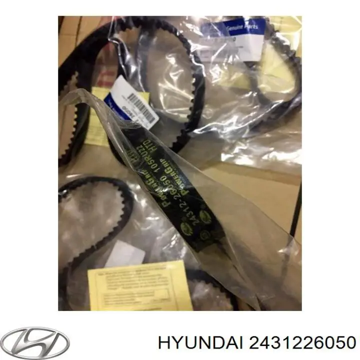 Compre 2431226050 Hyundai/Kia Correia do mecanismo de distribuição de gás
