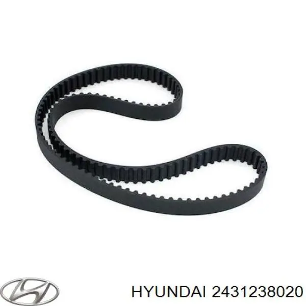2431238020 Hyundai/Kia Correia do mecanismo de distribuição de gás
