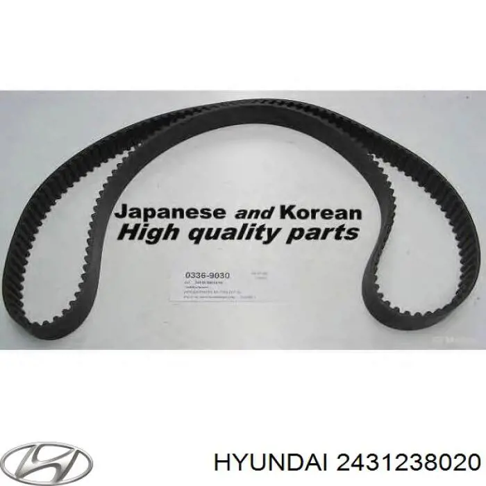 Compre 2431238020 Hyundai/Kia Correia do mecanismo de distribuição de gás