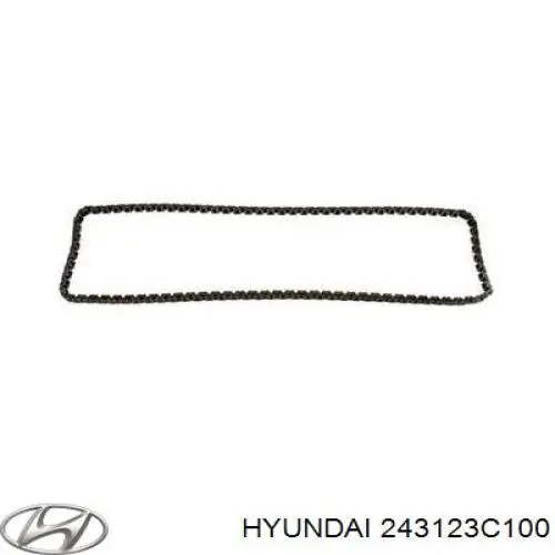 Cadeia do mecanismo de distribuição de gás Hyundai/Kia 243123C100 preço, a partir de 64,64 USD