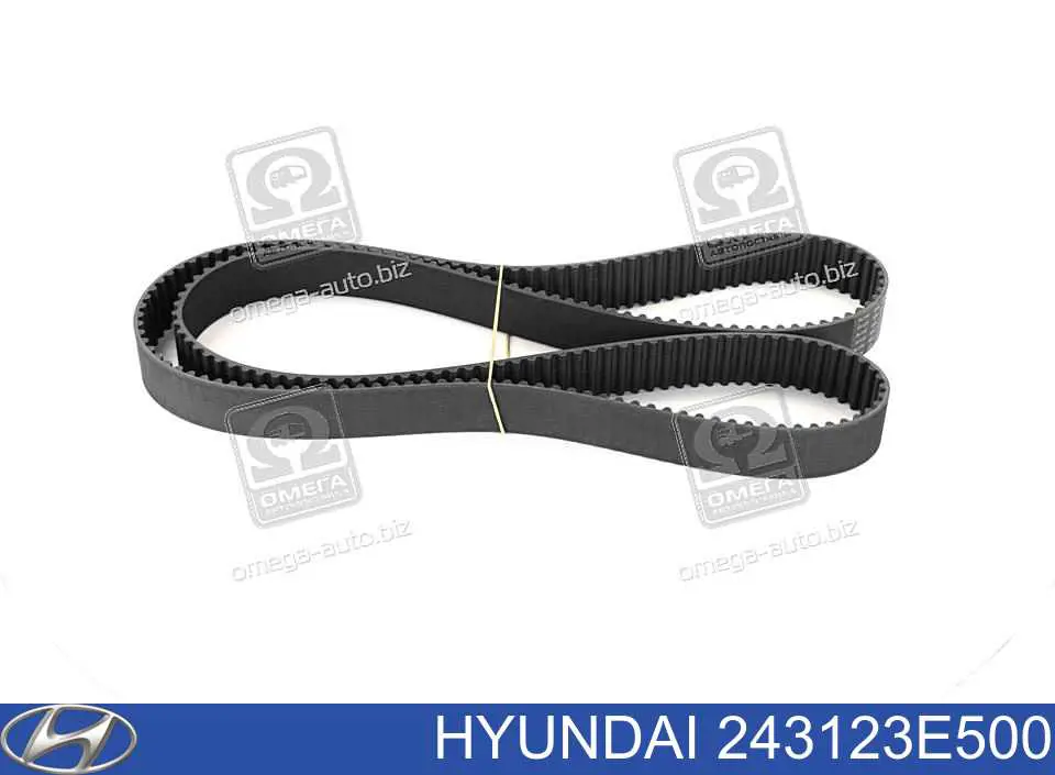 243123E500 Hyundai/Kia Correia do mecanismo de distribuição de gás