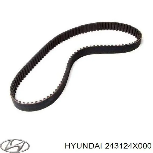 243124X000 Hyundai/Kia Correia do mecanismo de distribuição de gás