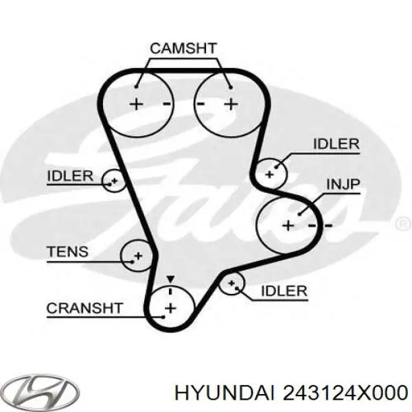 Correia do mecanismo de distribuição de gás Hyundai/Kia 243124X000 preço, a partir de 71,37 USD