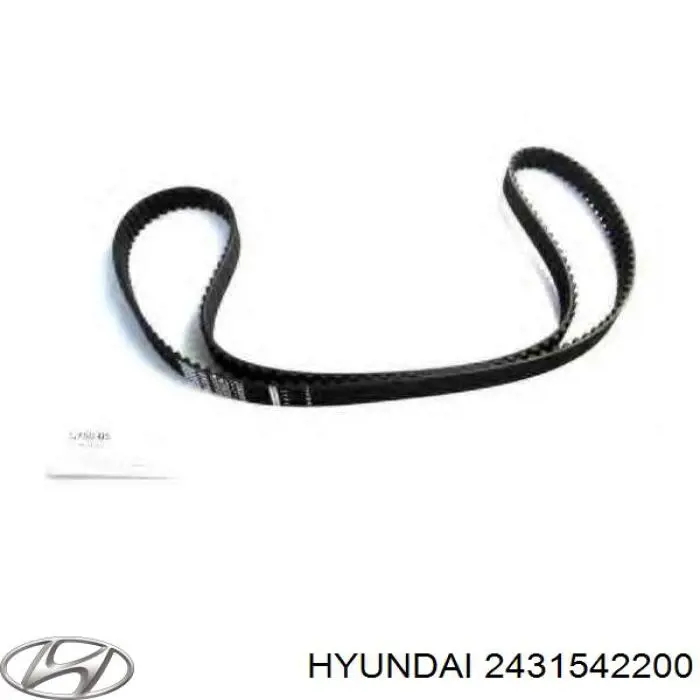 2431542200 Hyundai/Kia Correia do mecanismo de distribuição de gás