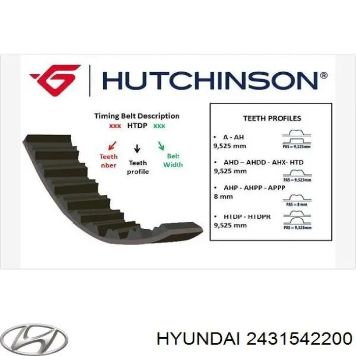 2431542200 Hyundai/Kia Correia do mecanismo de distribuição de gás