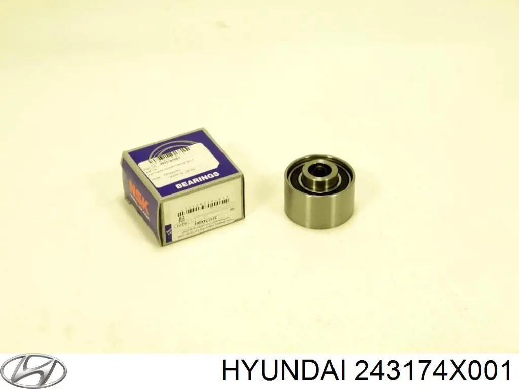 243174X001 Hyundai/Kia Rolo parasita da correia do mecanismo de distribuição de gás