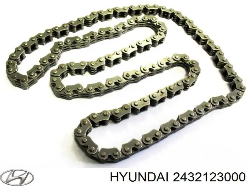 Compre 2432123000 Hyundai/Kia Cadeia do mecanismo de distribuição de gás