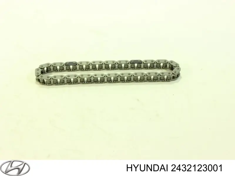 Cadeia do mecanismo de distribuição de gás Hyundai/Kia 2432123001 preço, a partir de 15,75 USD