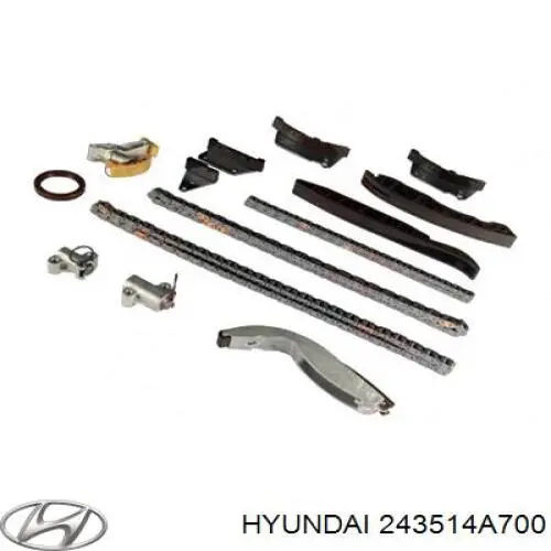243514A700 Hyundai/Kia Cadeia do mecanismo de distribuição de gás