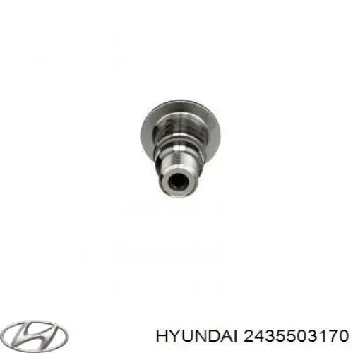 2435503170 Hyundai/Kia Válvula eletromagnética de posição (de fases) da árvore distribuidora