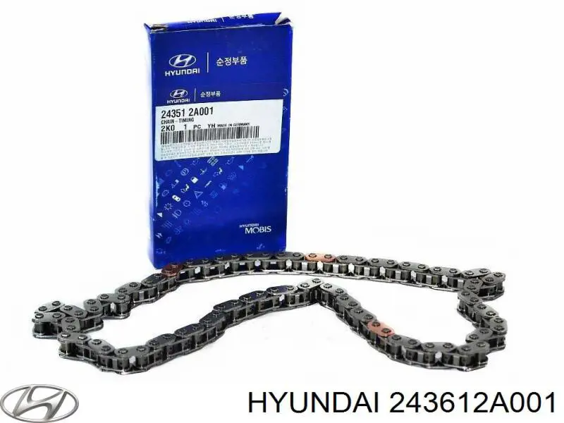 243612A001 Hyundai/Kia Cadeia inferior do mecanismo de distribuição de gás