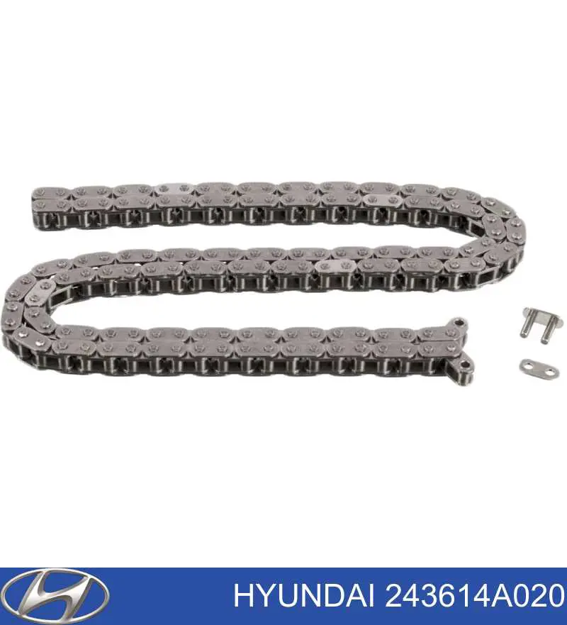 Cadeia do mecanismo de distribuição de gás Hyundai/Kia 243614A020 preço, a partir de 68,78 USD