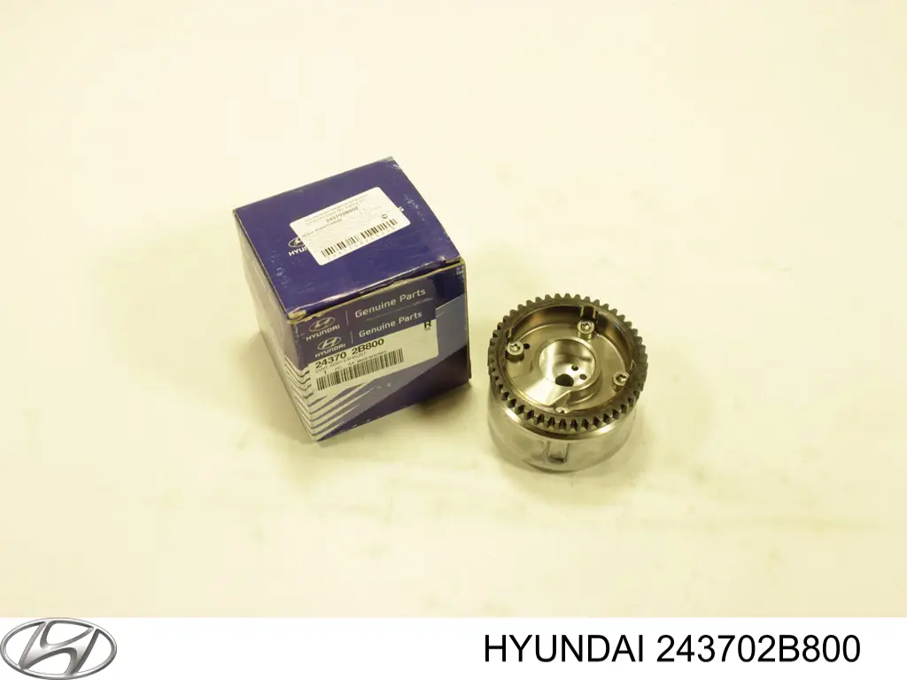 243702B800 Hyundai/Kia Engrenagem de cadeia de roda dentada da árvore distribuidora de escape de motor