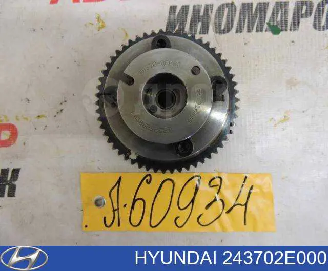 Engrenagem de cadeia de roda dentada da árvore distribuidora de escape de motor Hyundai/Kia 243702E000 preço, a partir de 128,76 USD