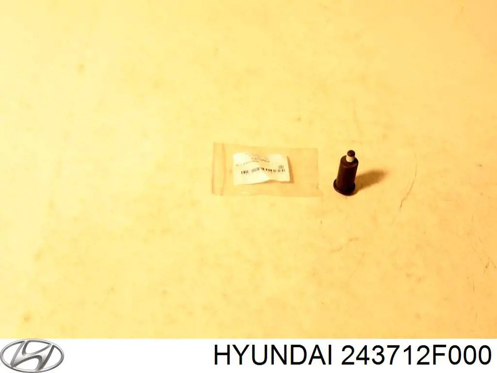 243712F000 Hyundai/Kia Mola do rolo de reguladora de tensão da correia do mecanismo de distribuição de gás