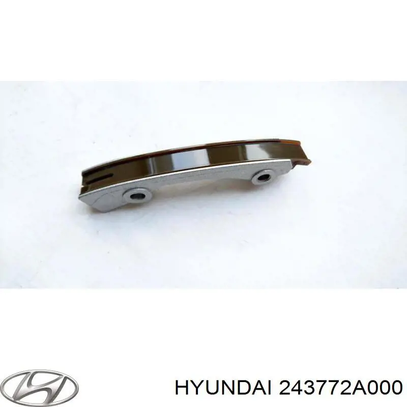 243772A000 Hyundai/Kia Amortecedor de cadeia do mecanismo de distribuição de gás, esquerdo