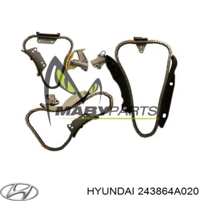 243864A020 Hyundai/Kia Amortecedor de cadeia do mecanismo de distribuição de gás, direito