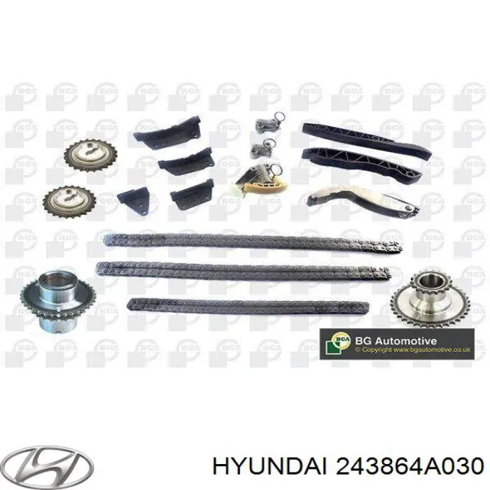 Compre 243864A020 Hyundai/Kia Amortecedor de cadeia do mecanismo de distribuição de gás, direito