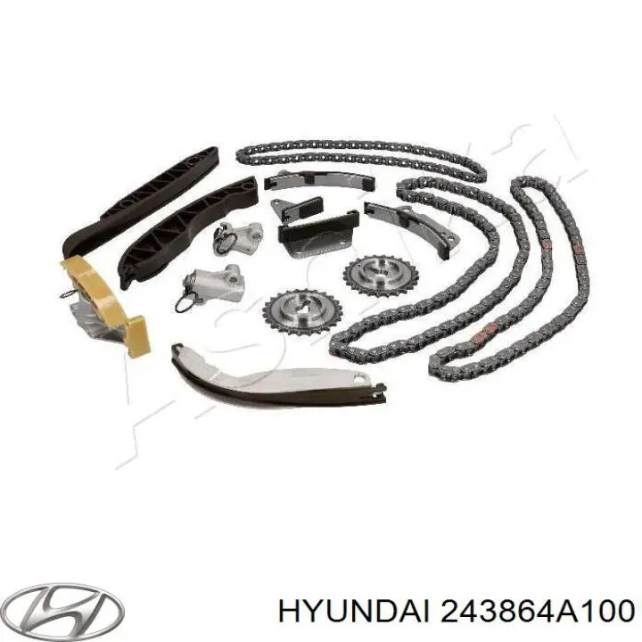 243864A100 Hyundai/Kia Amortecedor de cadeia do mecanismo de distribuição de gás, direito