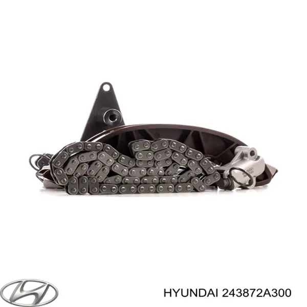 243872A300 Hyundai/Kia Amortecedor de cadeia do mecanismo de distribuição de gás, superior