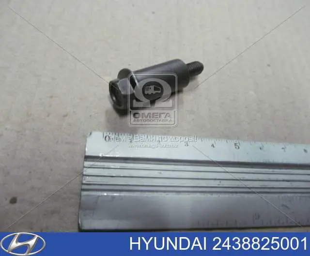 2438825001 Hyundai/Kia Cadeia de bomba de óleo, kit
