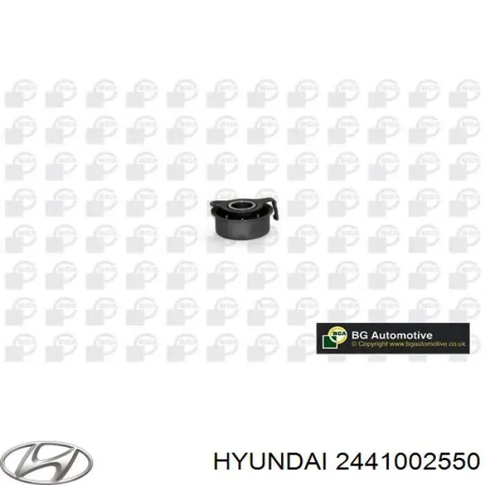 2441002550 Hyundai/Kia Reguladora de tensão da correia do mecanismo de distribuição de gás