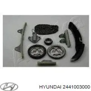 2441003000 Hyundai/Kia Reguladora de tensão da cadeia do mecanismo de distribuição de gás