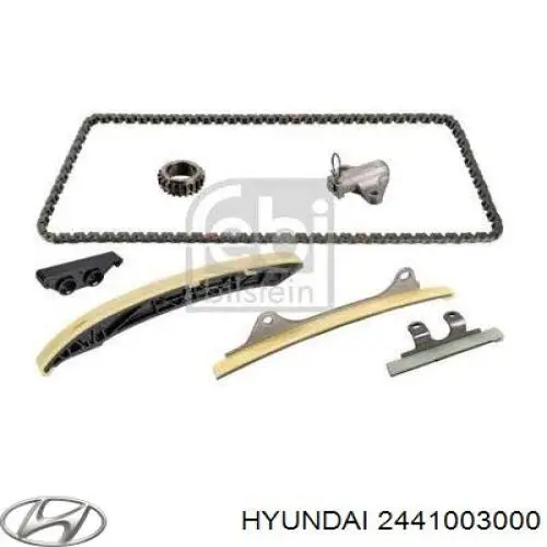 Compre 2441003000 Hyundai/Kia Reguladora de tensão da cadeia do mecanismo de distribuição de gás