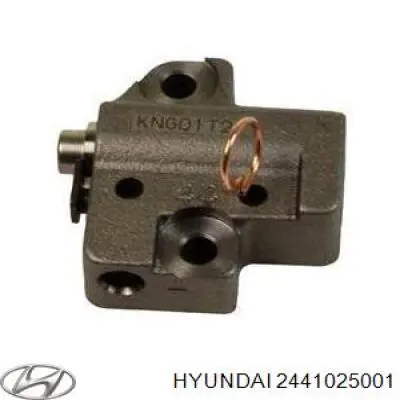 Compre 2441025001 Hyundai/Kia Reguladora de tensão da cadeia do mecanismo de distribuição de gás