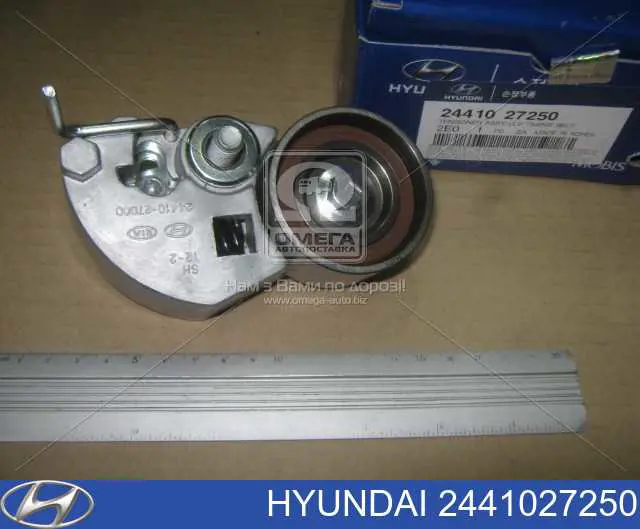 Compre 2441027250 Hyundai/Kia Reguladora de tensão da correia do mecanismo de distribuição de gás