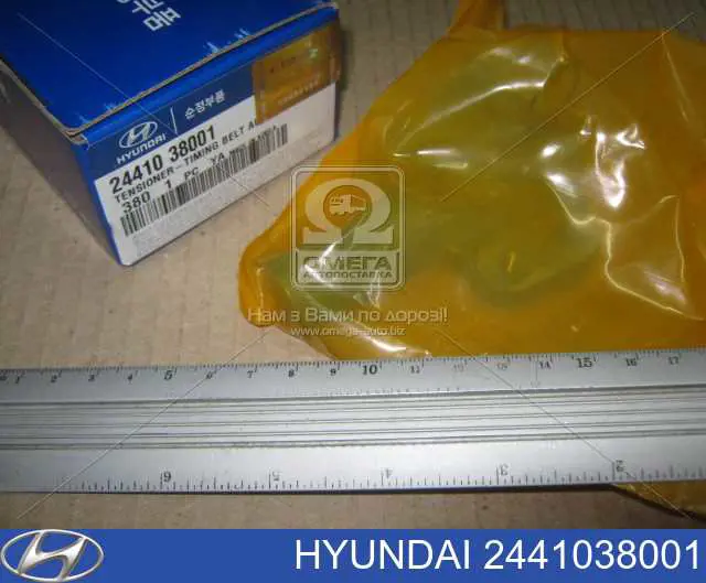 Compre 2441038001 Hyundai/Kia Reguladora de tensão da correia do mecanismo de distribuição de gás