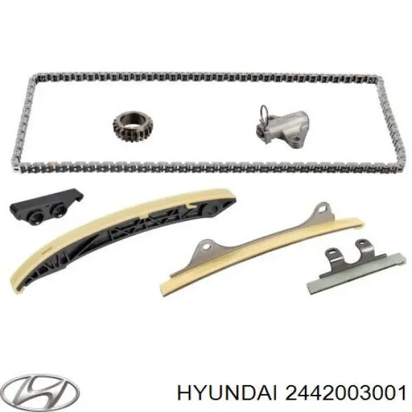 2442003001 Hyundai/Kia Sapato de reguladora de tensão da cadeia do mecanismo de distribuição de gás