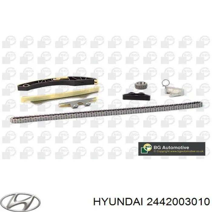 2442003010 Hyundai/Kia Sapato de reguladora de tensão da cadeia do mecanismo de distribuição de gás
